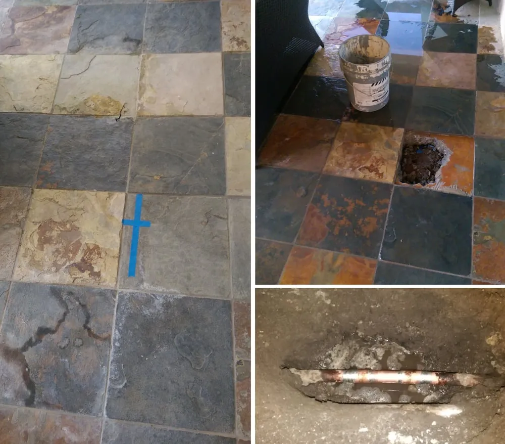 Slide of Leak Hounds