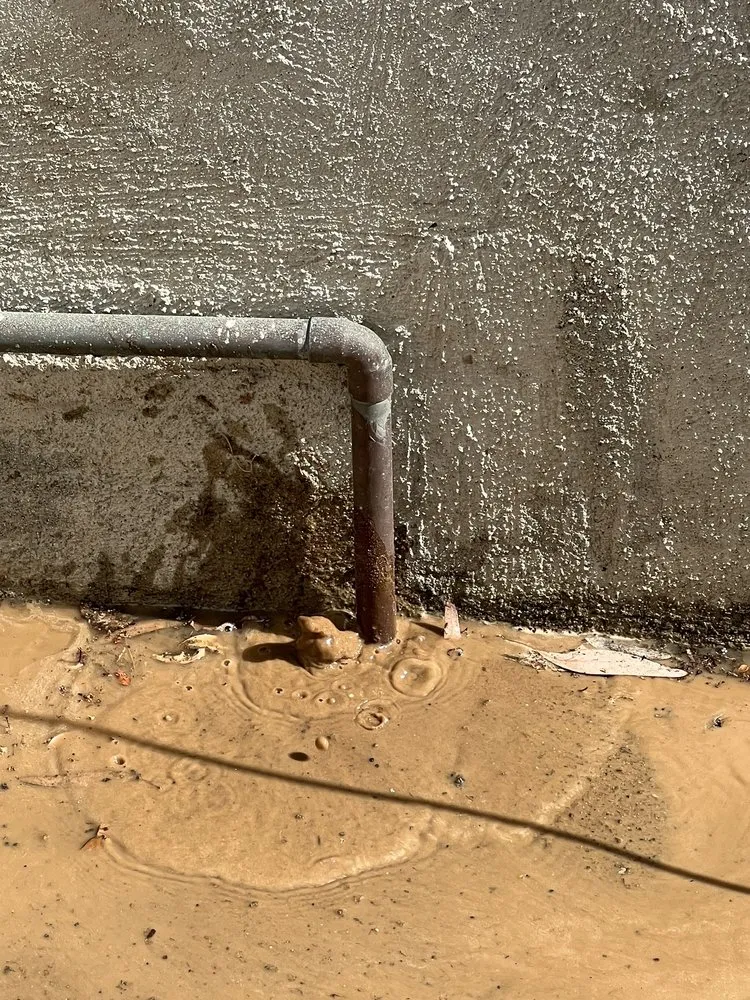 Slide of Leak Hounds