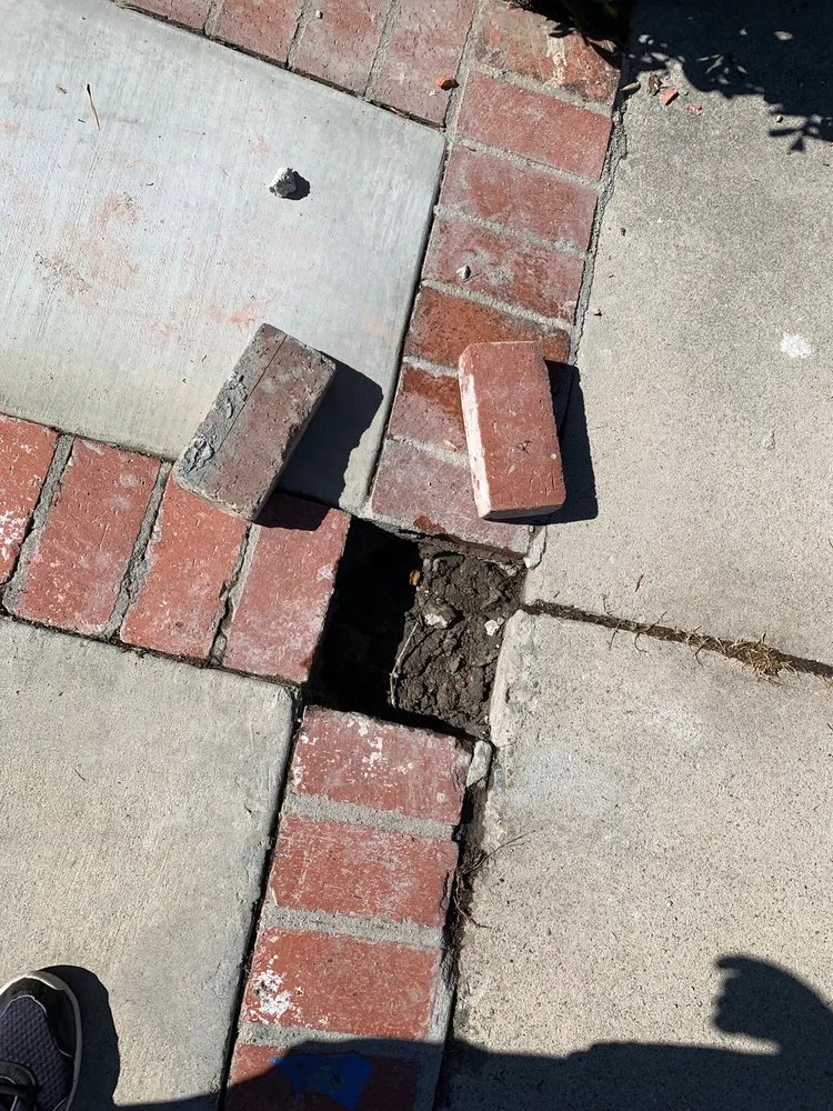 Slide of Leak Hounds