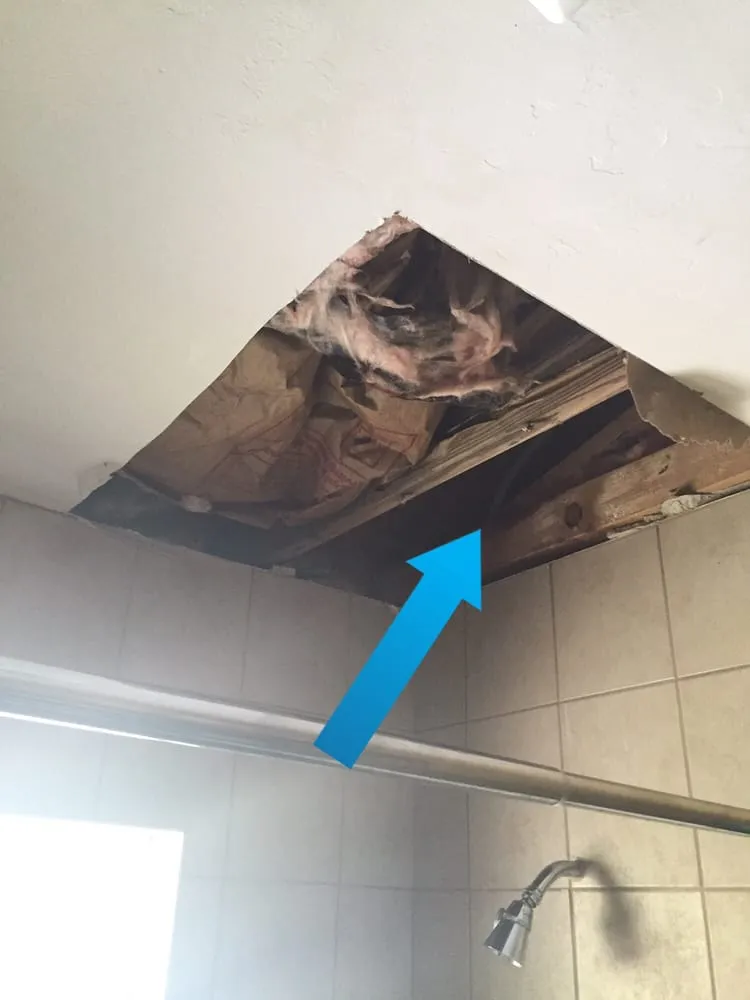 Slide of Leak Locators