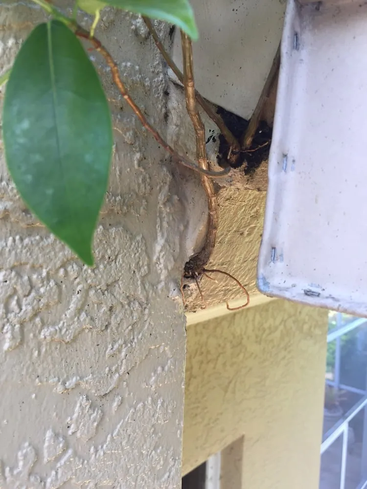 Slide of Leak Locators