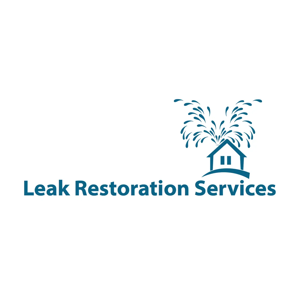 Slide of Leak Restoration Services