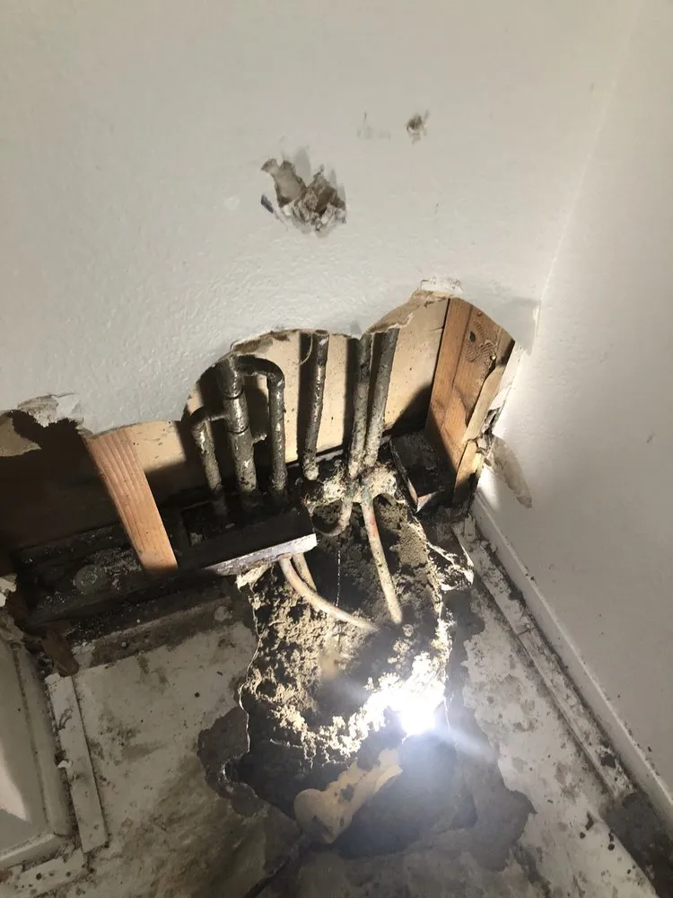 Slide of Leak Specialties