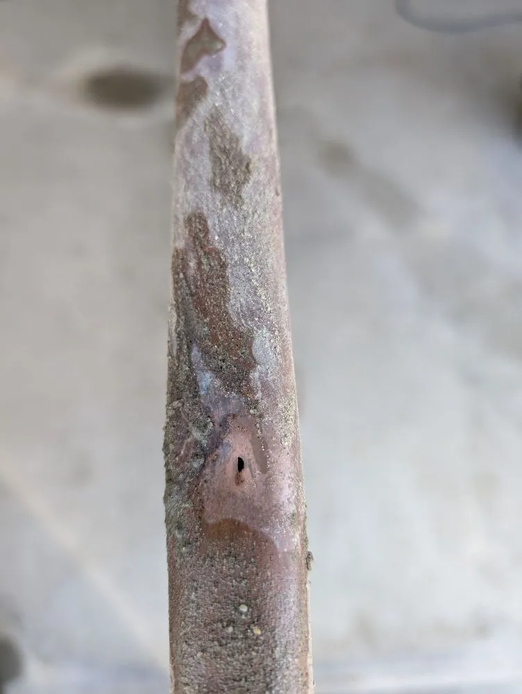 Slide of Leak Specialties