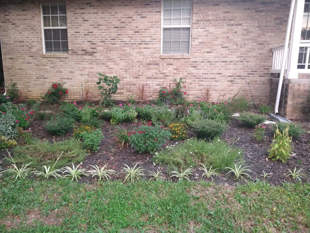 Slide of Leave It To Laci