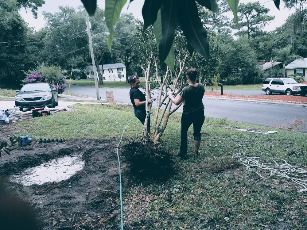 Slide of Leave It To Laci