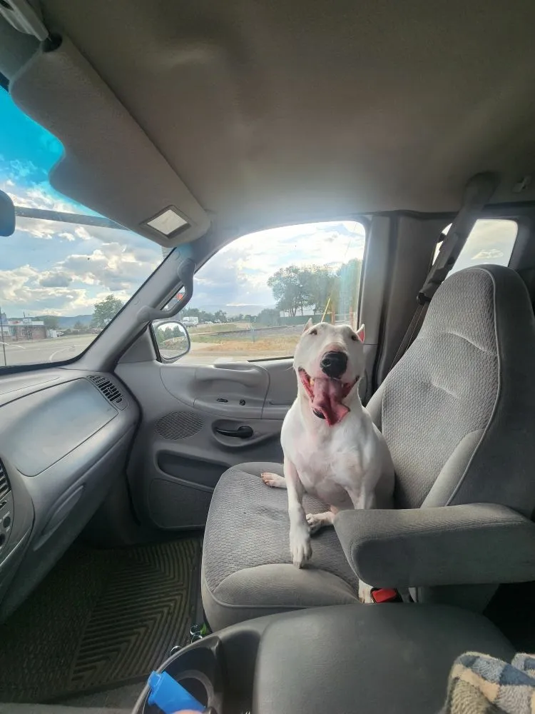 Slide of Leblanc Plumbing