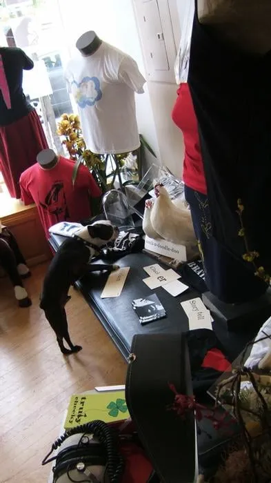 Professional plumbing repair experts serving Germantown, MD - Lee D Home Repairs