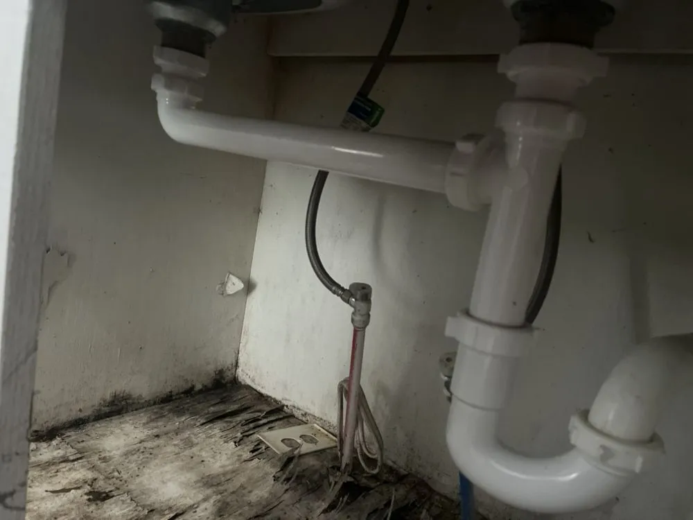 Slide of Lee The Plumber