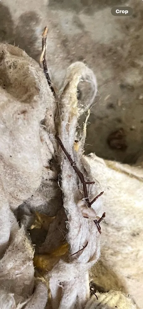 Expert plumbing repair in Clovis, CA by Lee's Air, Plumbing, Heating, & Roofing