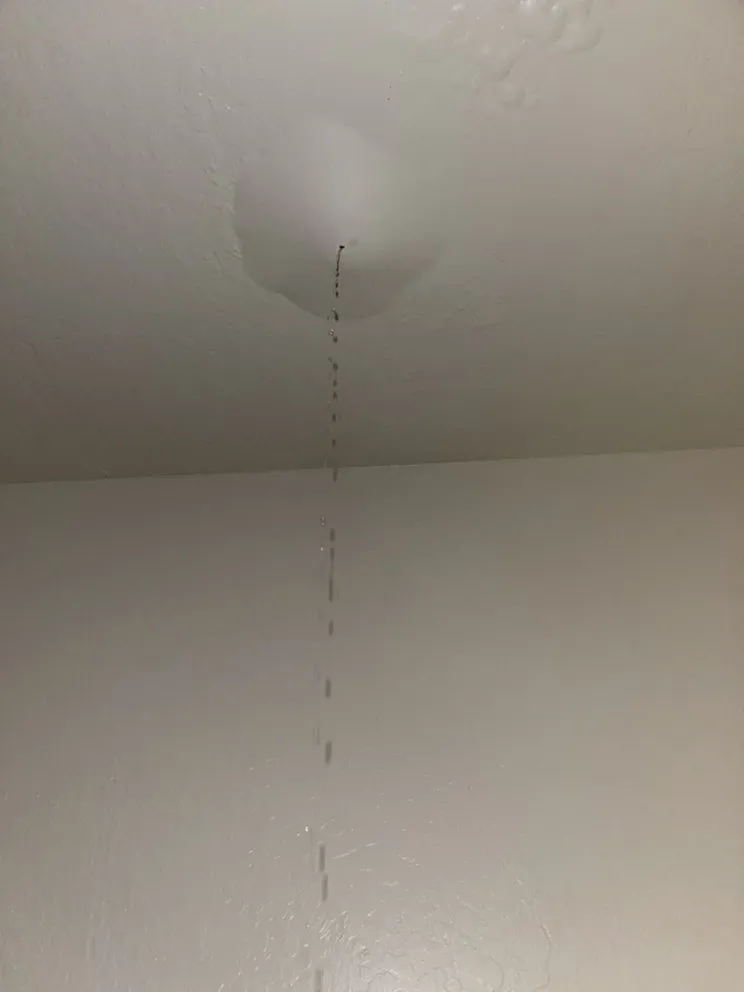 Emergency emergency plumbing experts serving San Jose, CA - Legacy Plumbing & Rooter