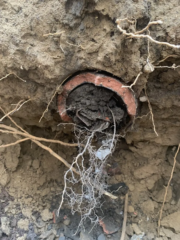 Slide of Legacy Sewer Drain Service