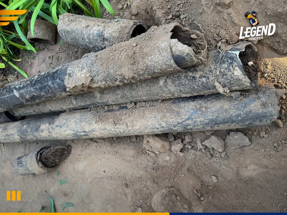 Slide of Legend Rooter