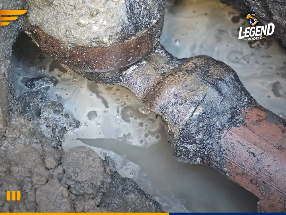 Slide of Legend Rooter