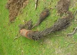 Slide of Legit Plumbing