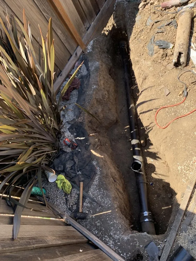 Slide of LemonTree Plumbing