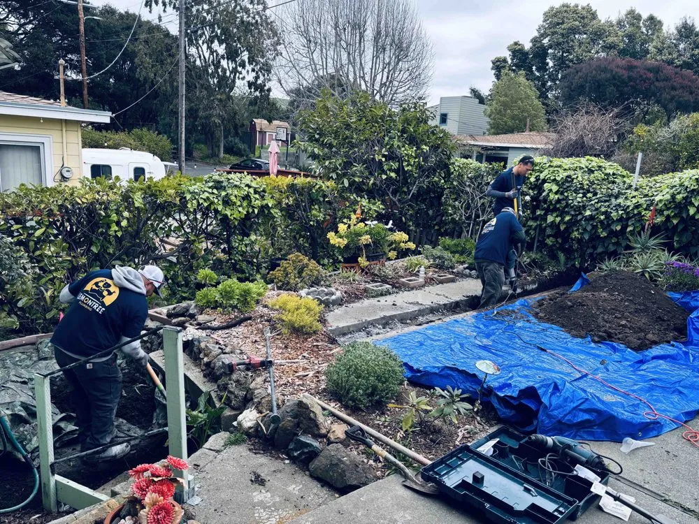 Slide of LemonTree Plumbing