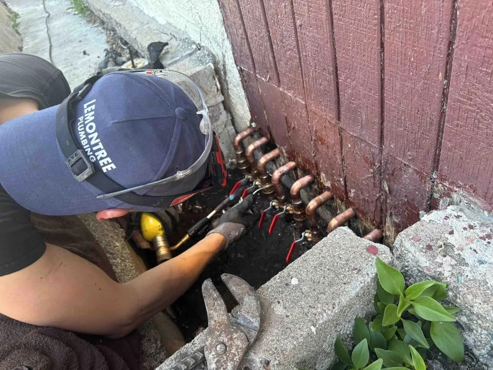 Trusted pipe repair service in Berkeley, CA - LemonTree Plumbing