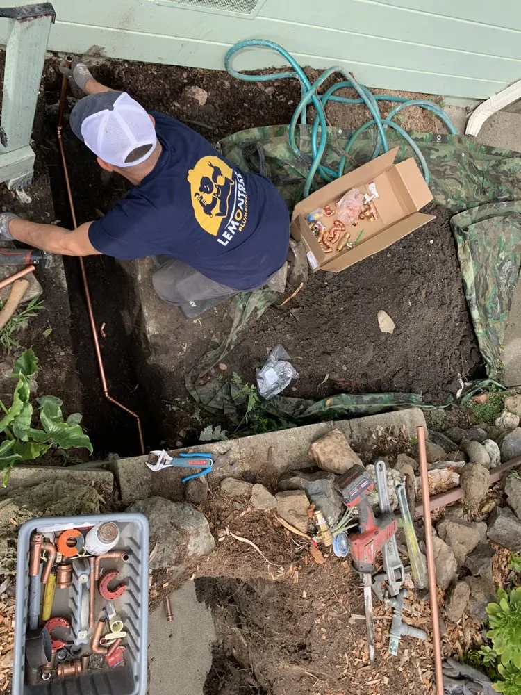 Slide of LemonTree Plumbing