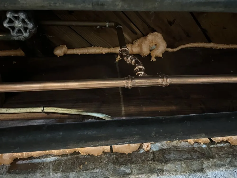 Slide of Len The Plumber