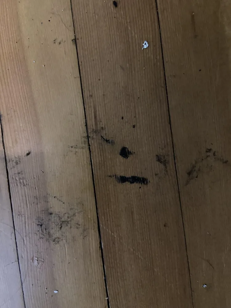 Slide of Len The Plumber