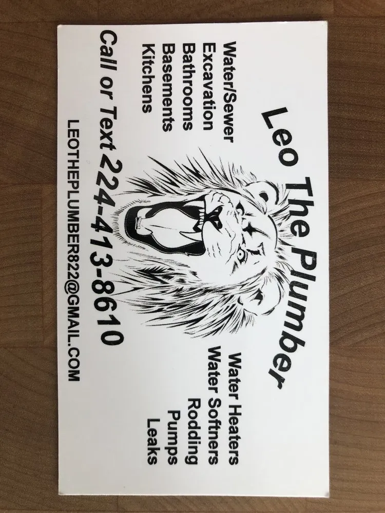 Slide of Leo The Plumber