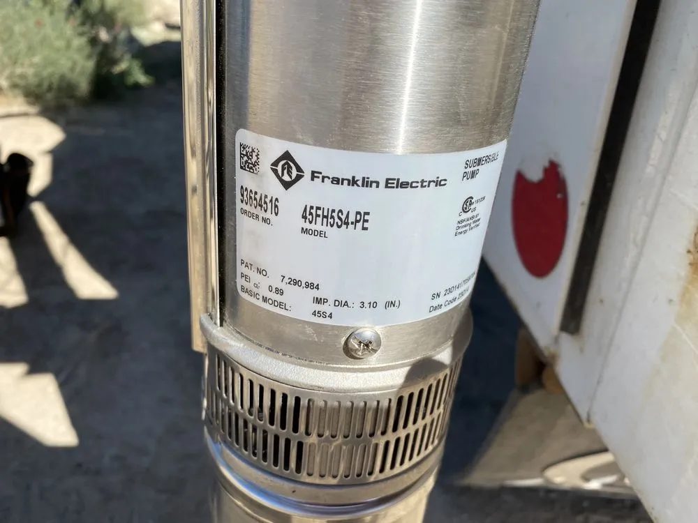 Slide of Leon's Pumps