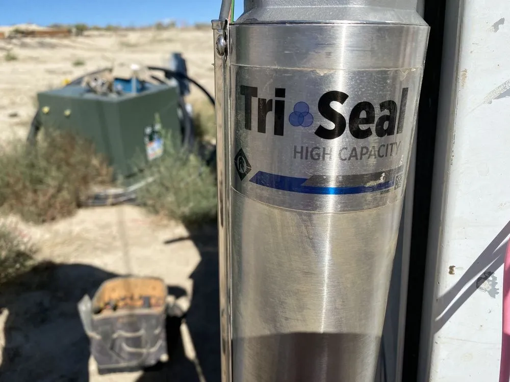 Slide of Leon's Pumps