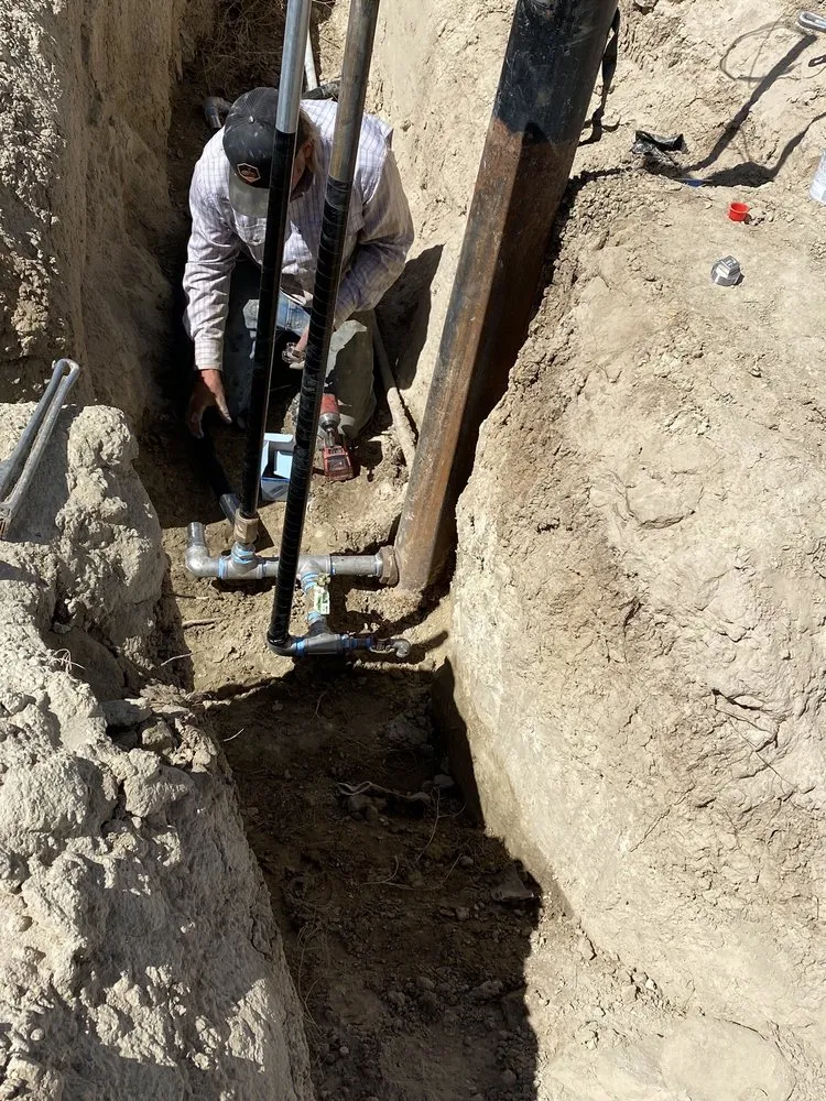 Slide of Leon's Pumps