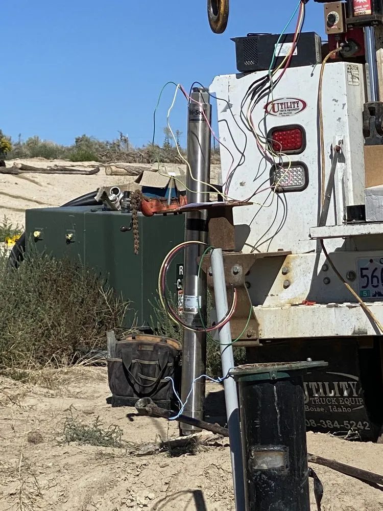 Slide of Leon's Pumps