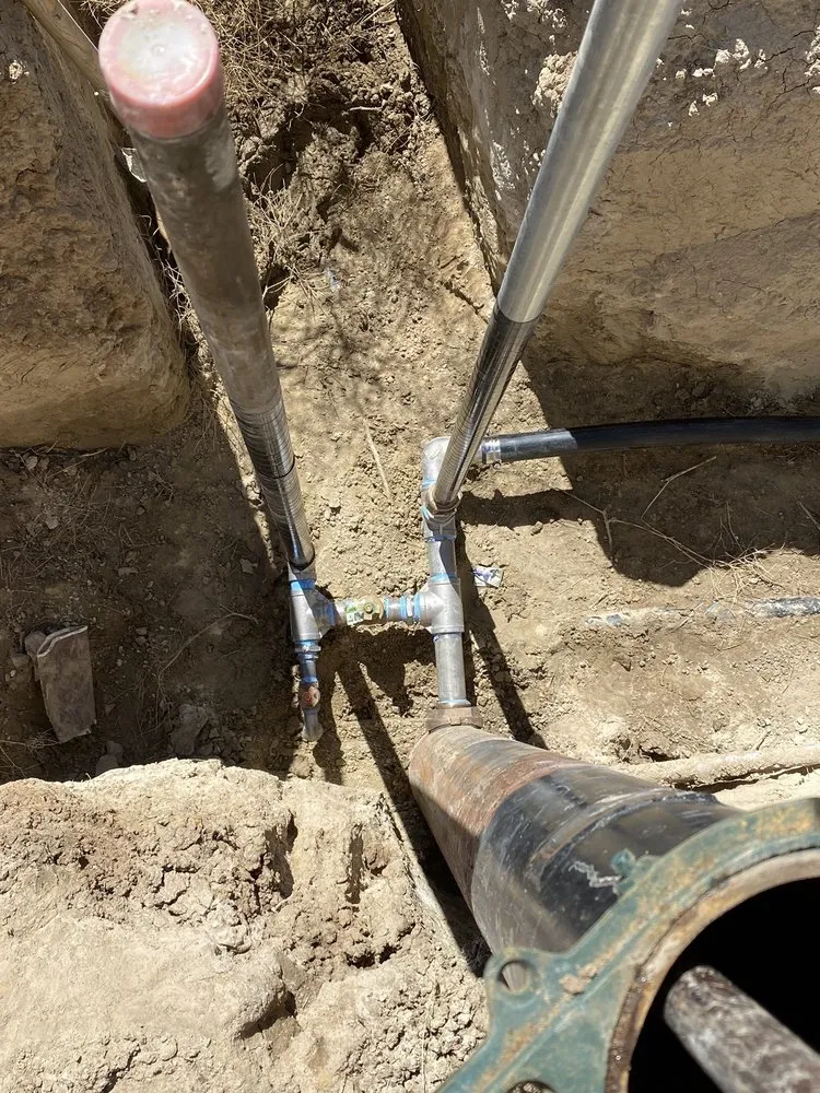 Slide of Leon's Pumps