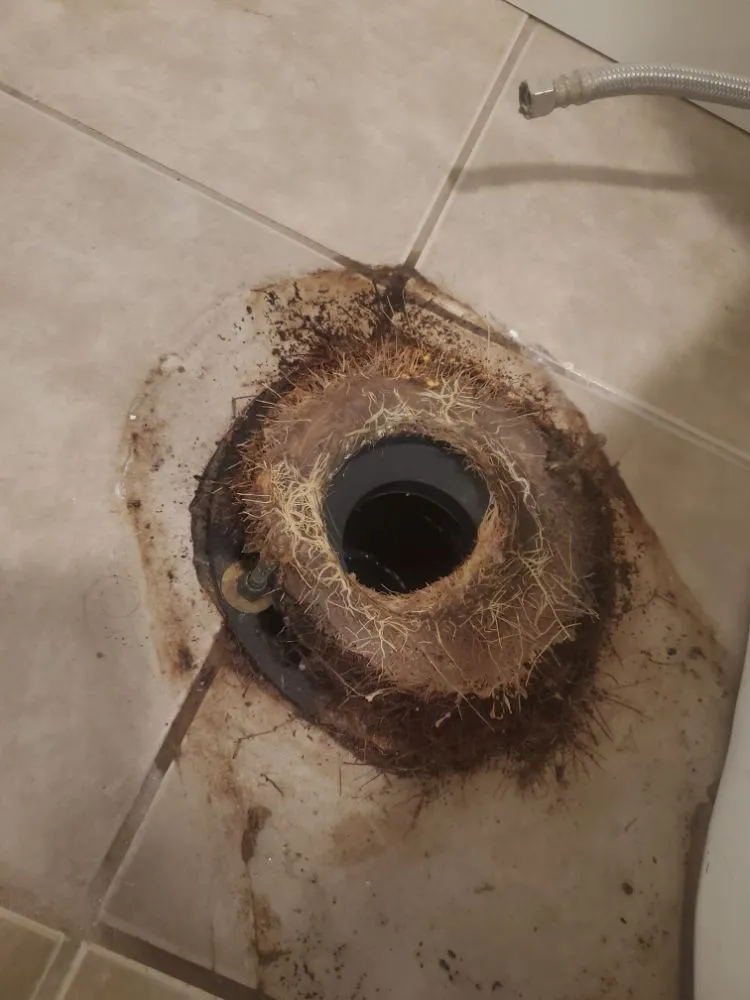 Expert plumbing repair service in Sacramento, CA - Leon's Rooter Plumbing