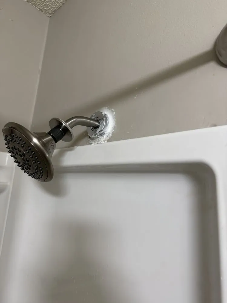 Slide of Leopards Home Repair