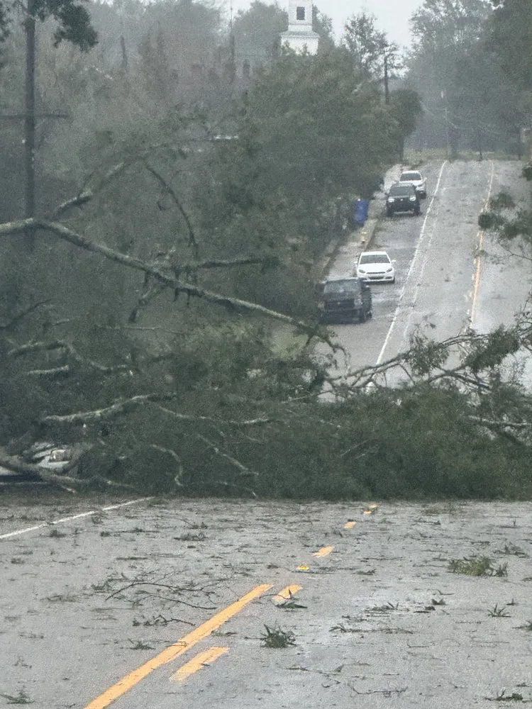 Slide of Leopards Home Repair
