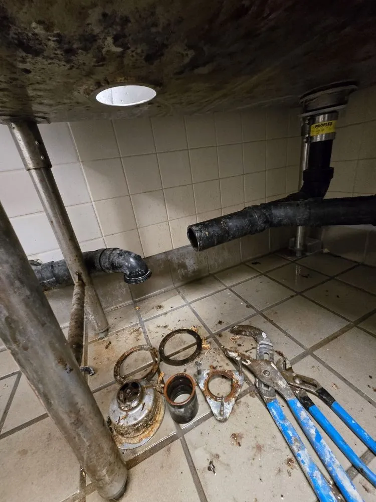 Expert drain cleaning in Los Angeles, CA by Leos Painting and Cleaning Services