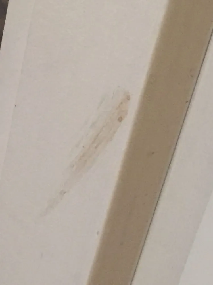 Emergency leak detection for homes in Lombard, IL by Leslie Heating Cooling Plumbing, & Electric