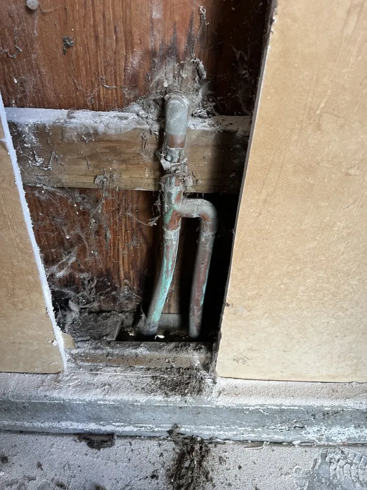 Slide of Lester's Plumbing