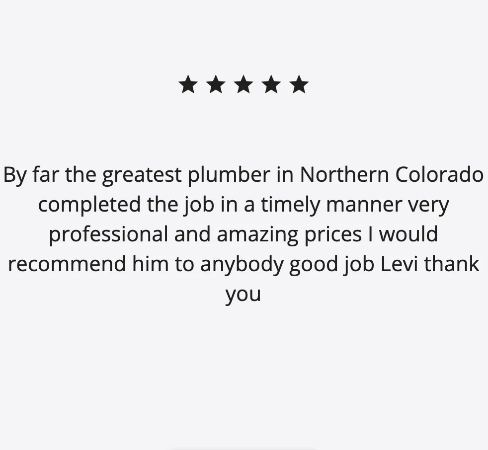 Slide of Levi Does It