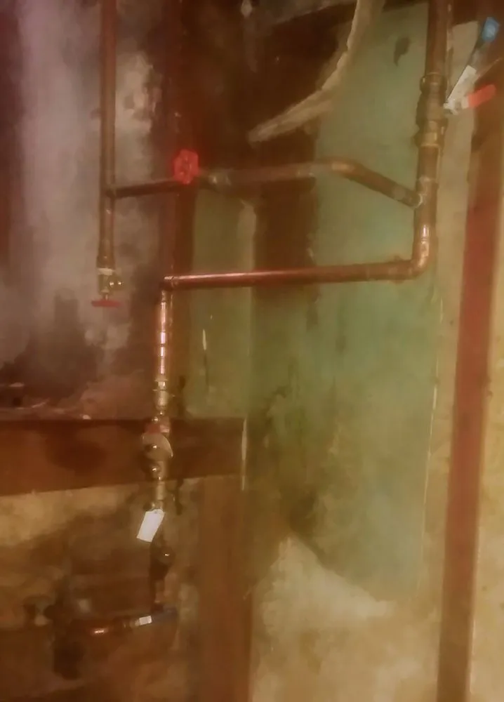 Slide of Levi Does It