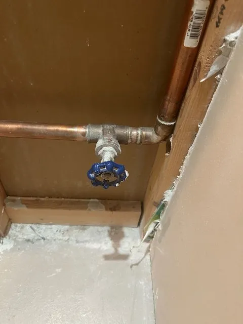 Slide of Levine & Sons