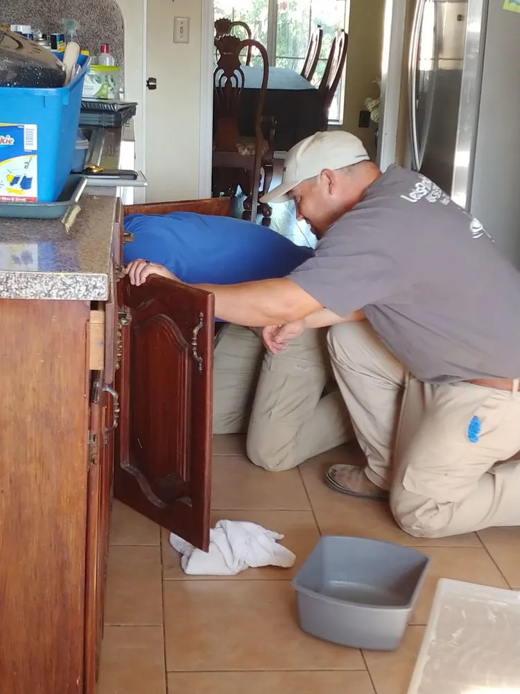 Slide of Lex's Plumbing