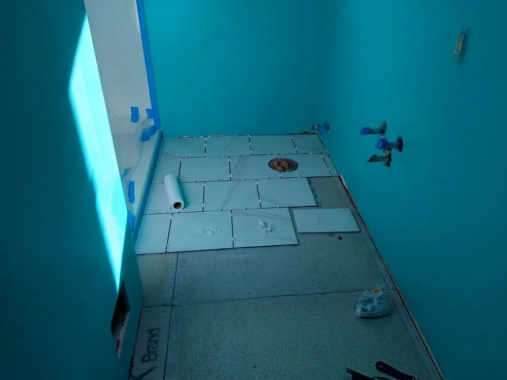 Slide of Leyvas' Construction