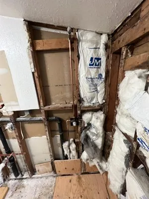 LF Plumbing Services Logo