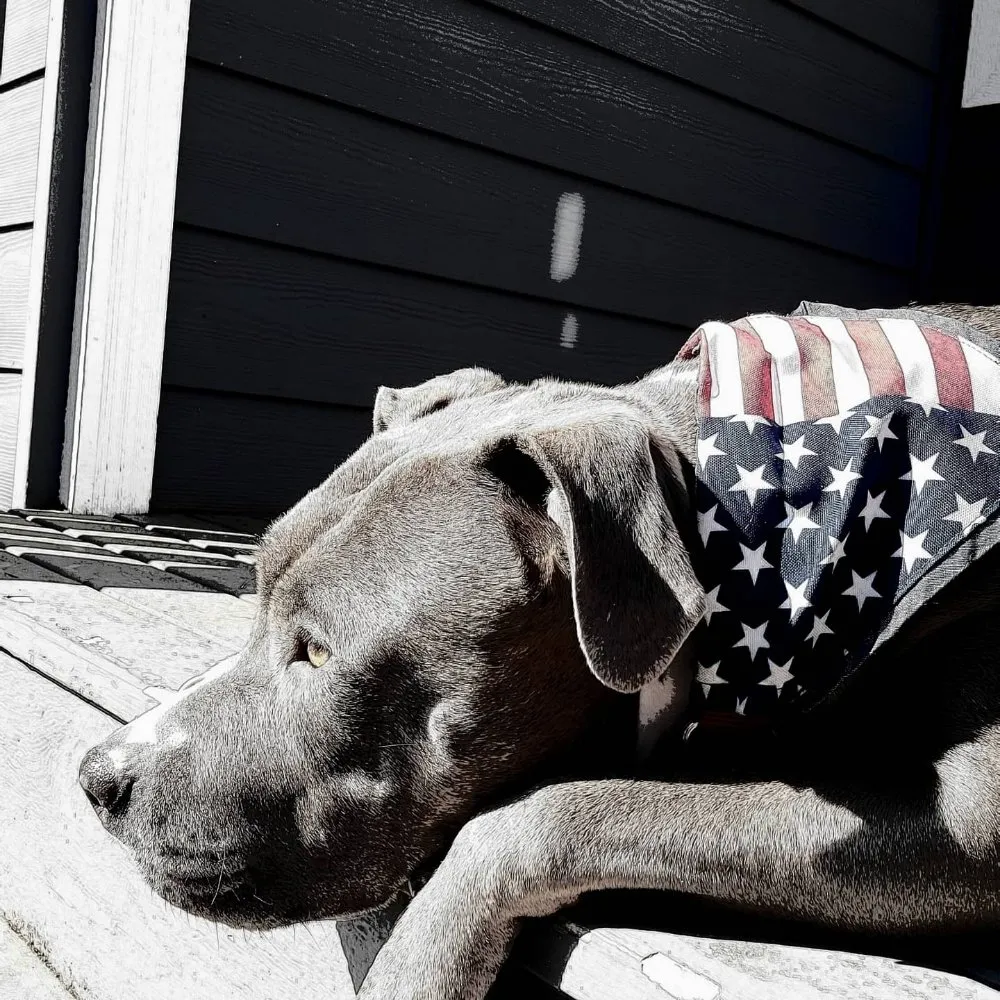 Slide of Liberty Drain Co