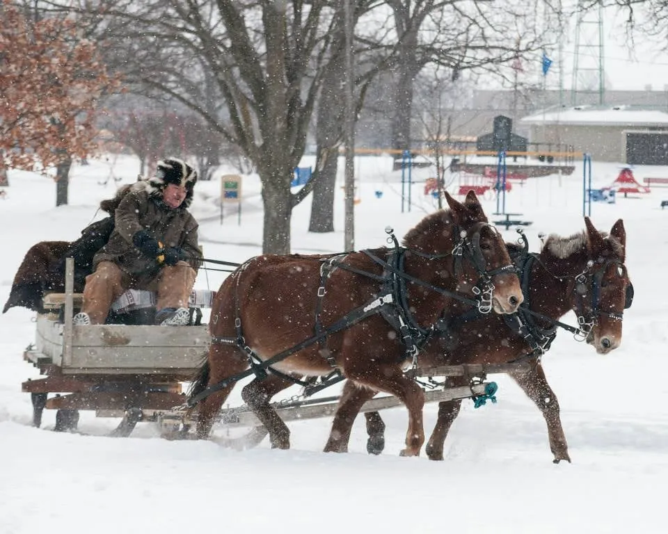 Slide of Lichtfeld Plumbing