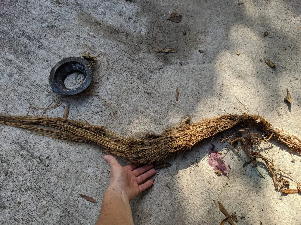 Slide of Lifetime Plumbing