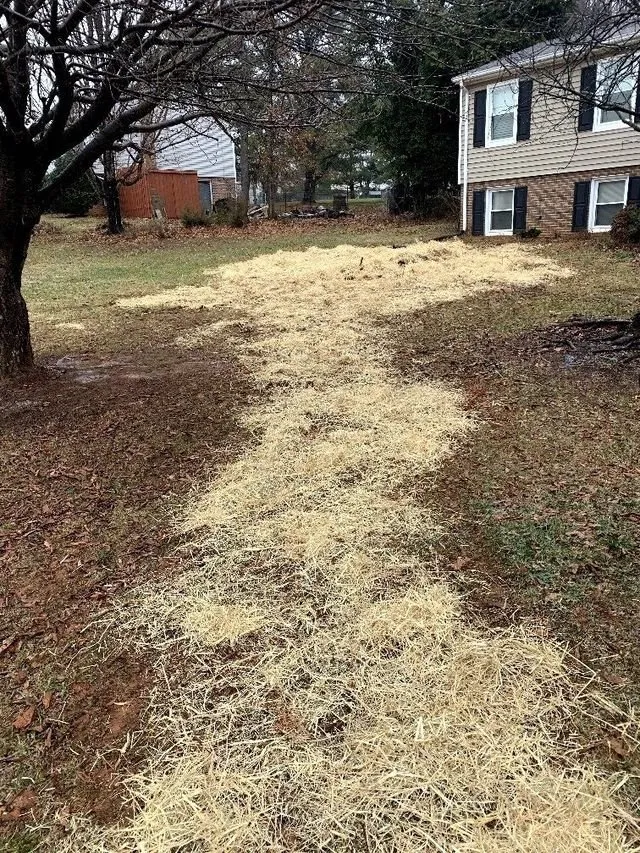 Slide of Lights Plumbing & Drain Cleaning