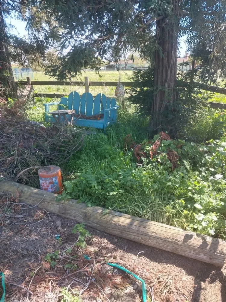 Slide of Lightyear Services