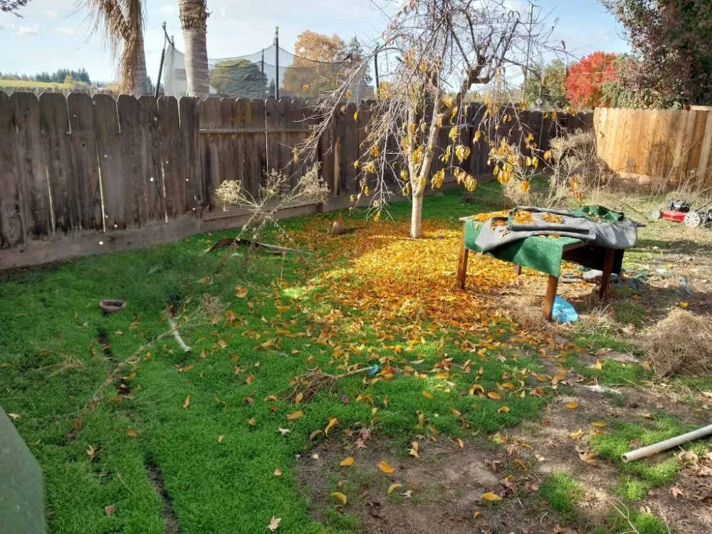 Slide of Lightyear Services