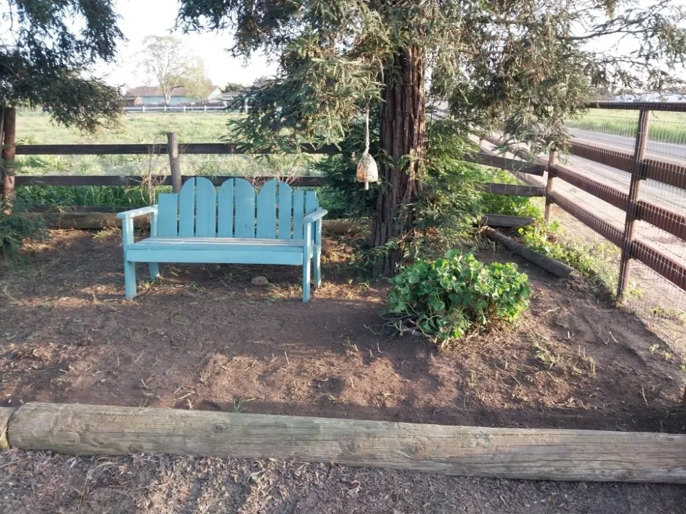 Slide of Lightyear Services